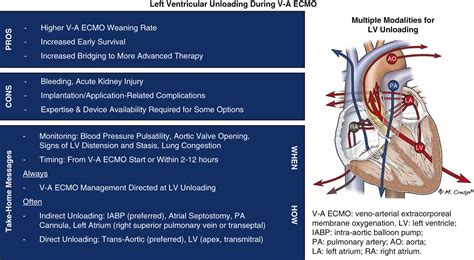 left ventricle unloading techniques.